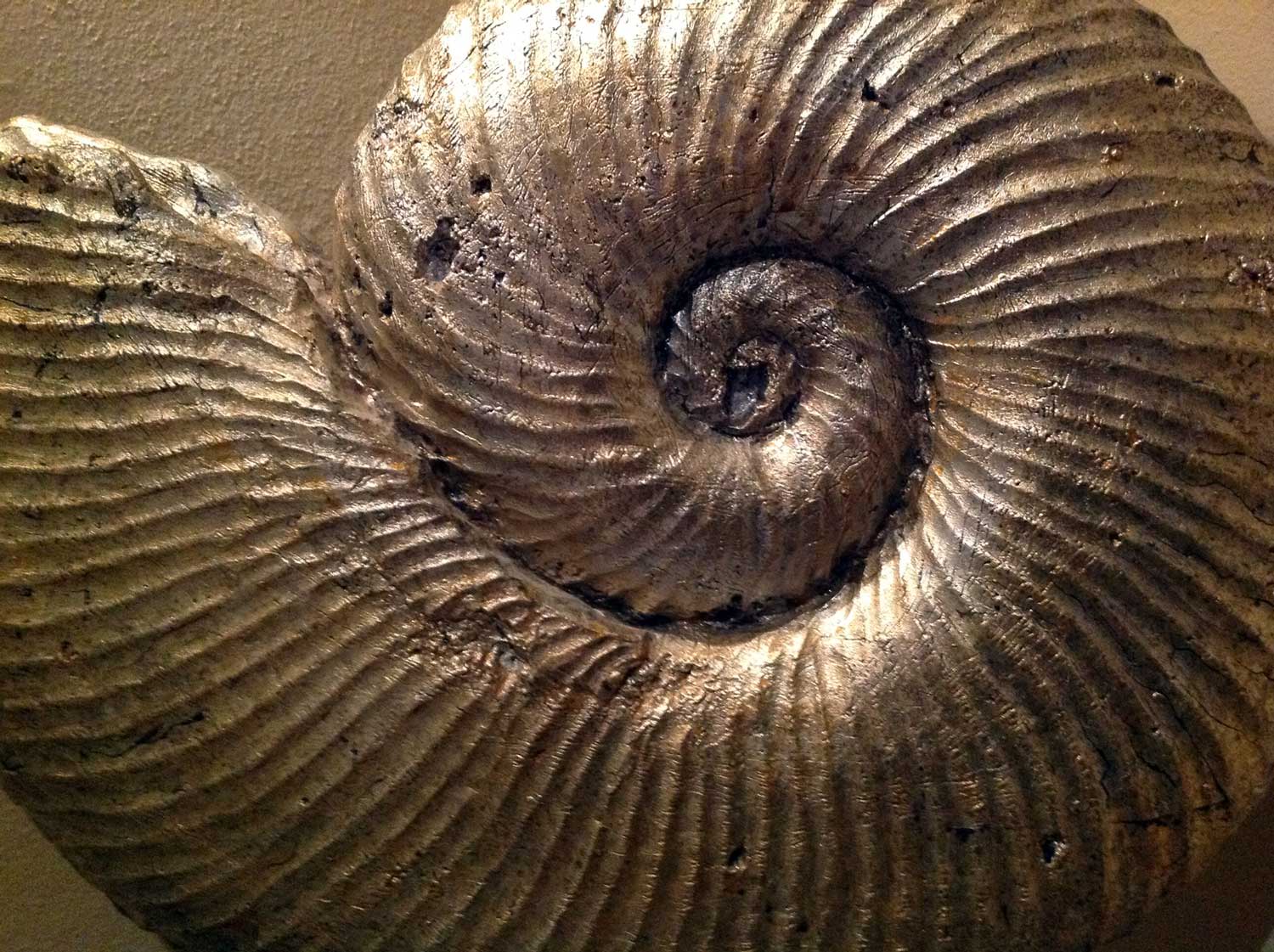 Nautilus Shell art at Quinta Jabali