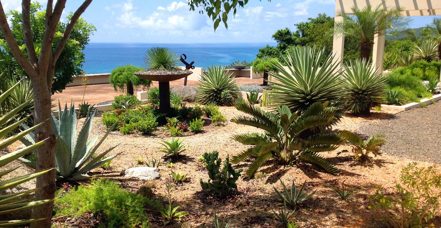 Vieques roof top garden