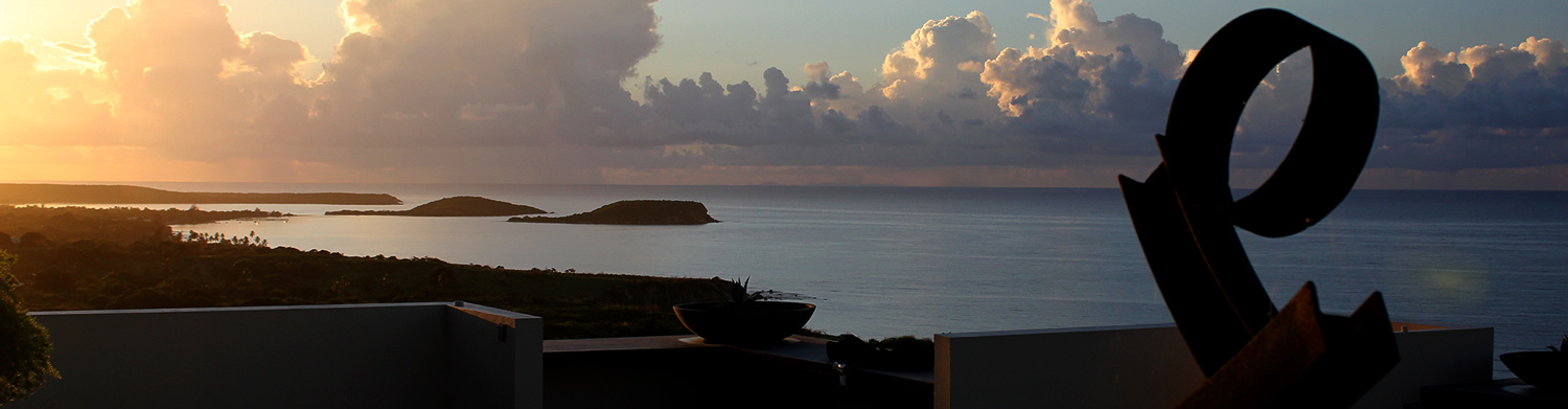 Rooftop garden sunset